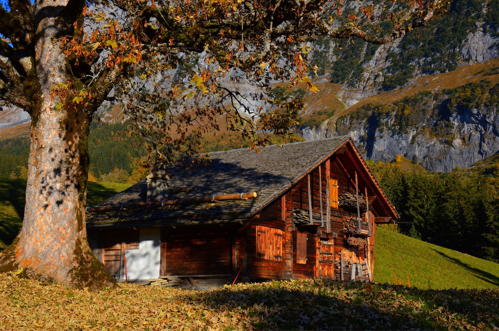 Grindelwald/BE - Suisse