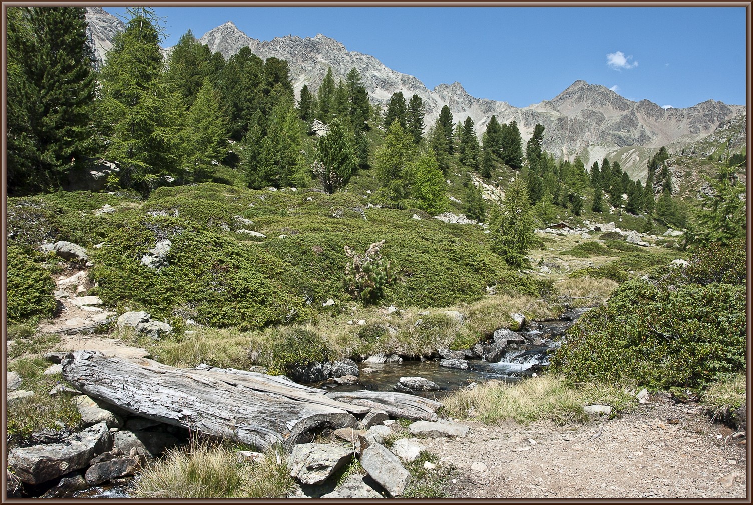 Ob der Alp Camp