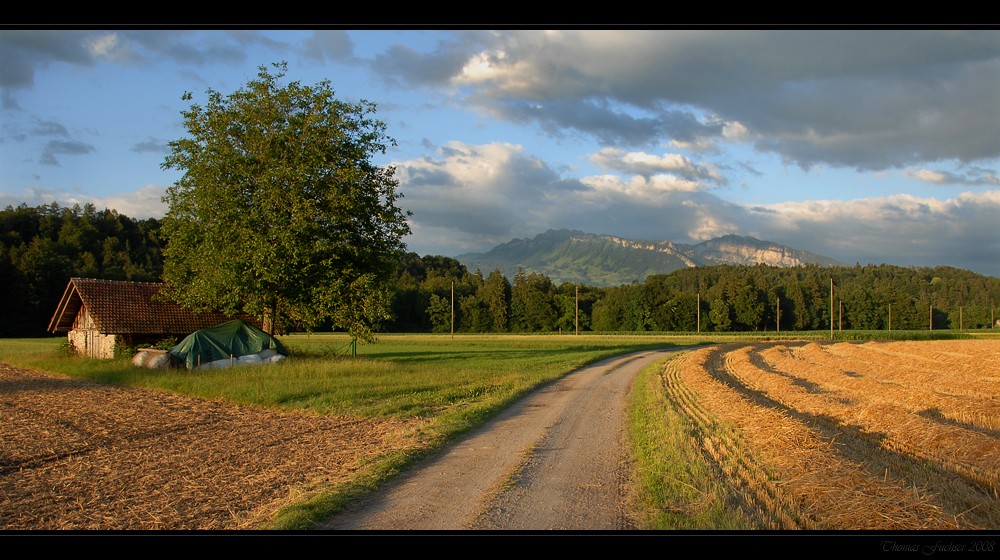 Blick zurück