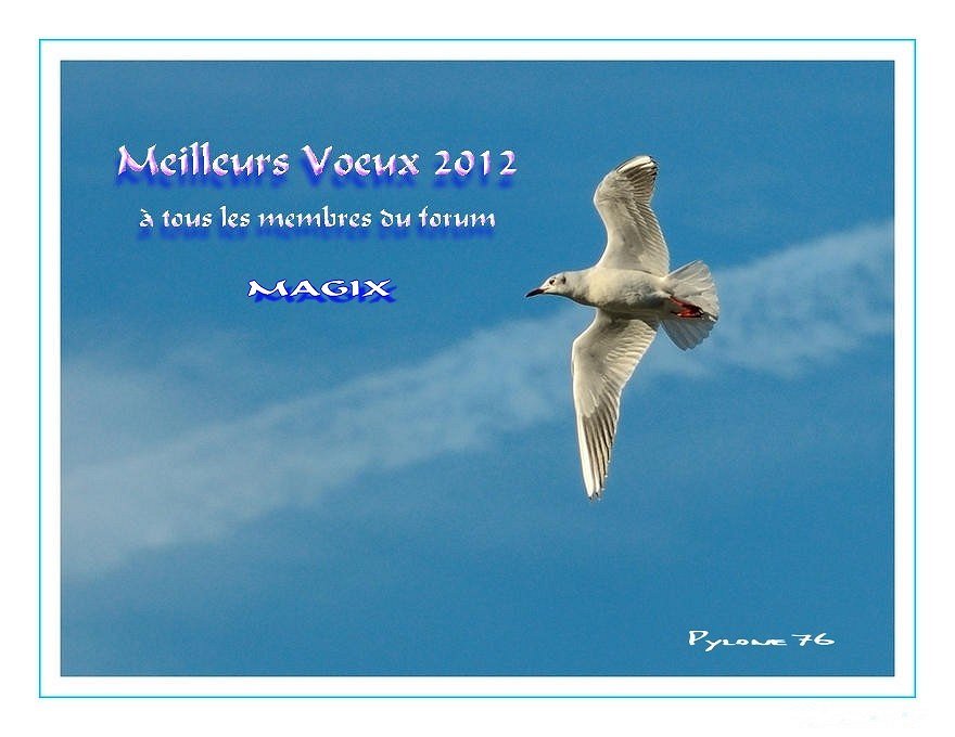 Bonne année 2012