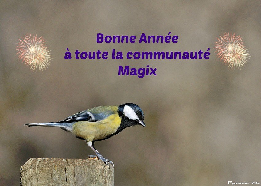 Bonne Année