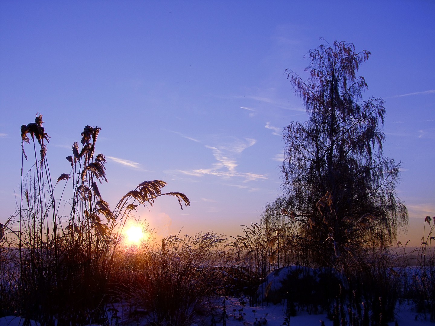 Sonne im Winter 5