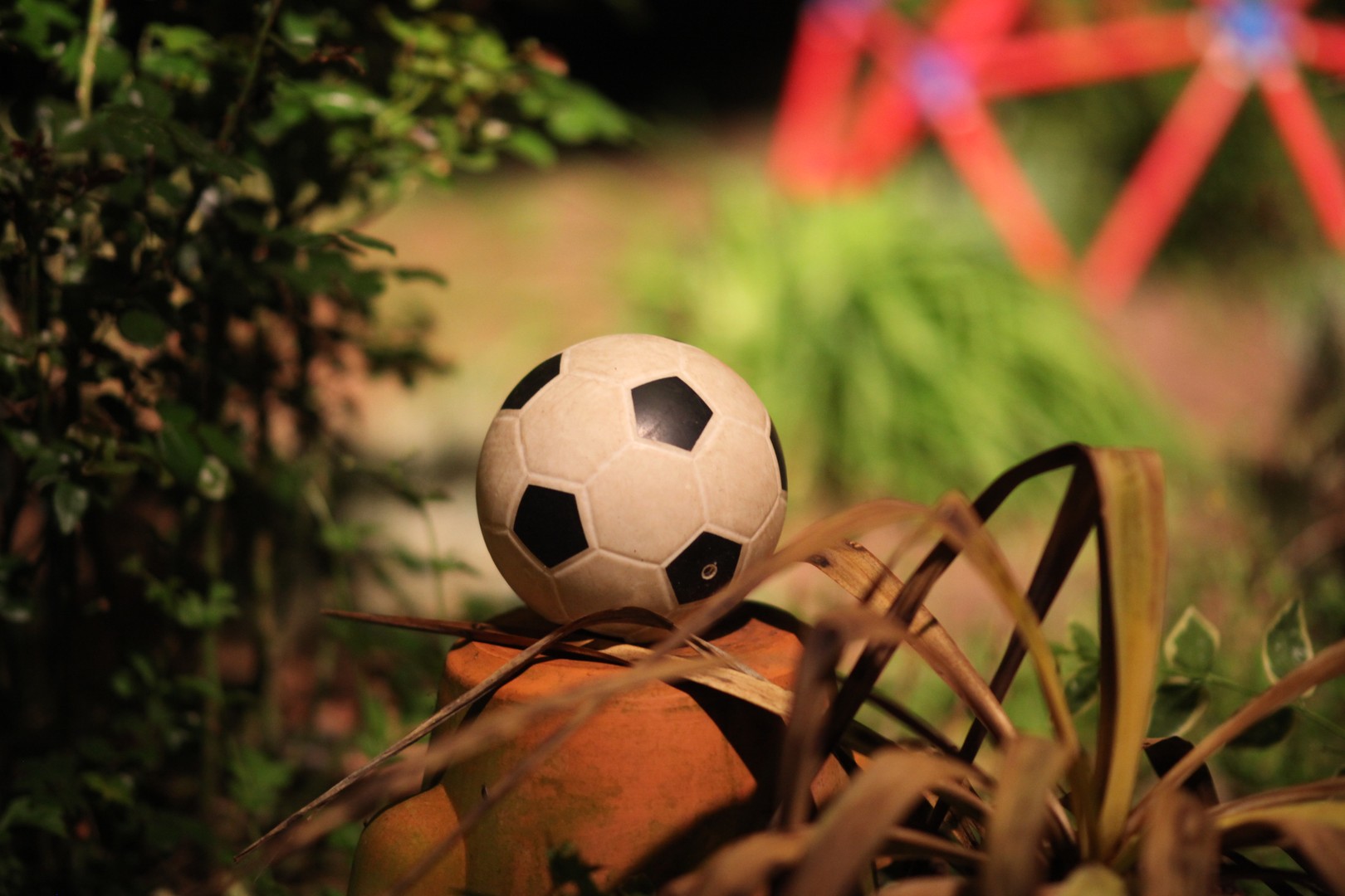 Der Ball im Garten