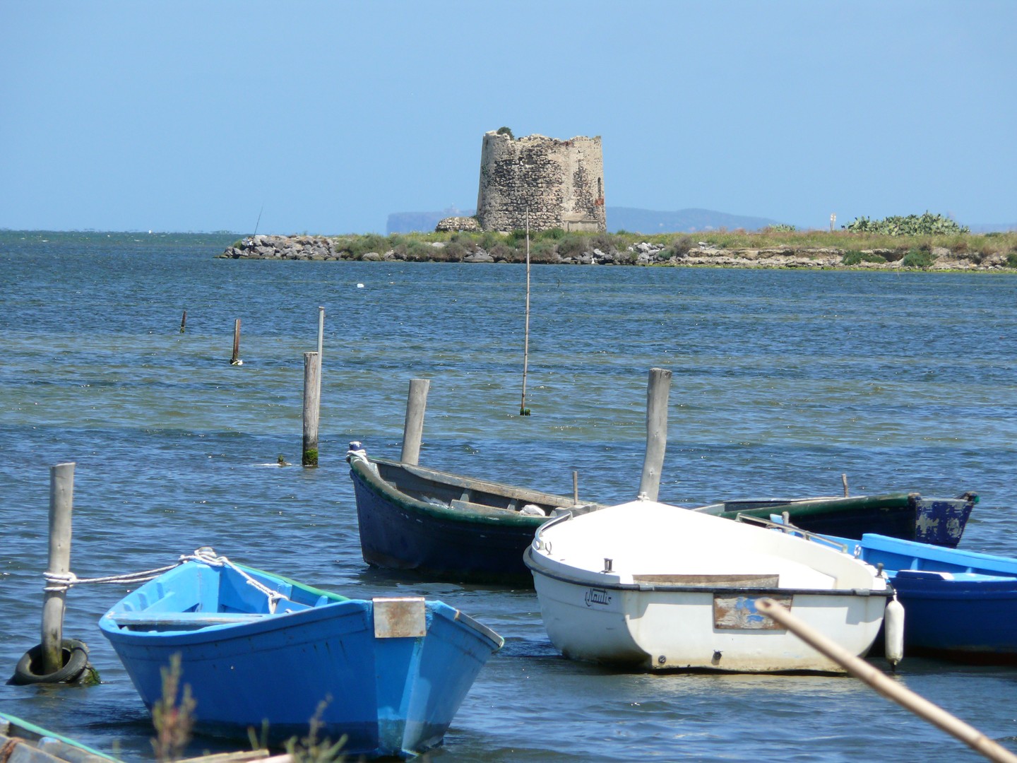 marcedì  oristanese centro sardegna