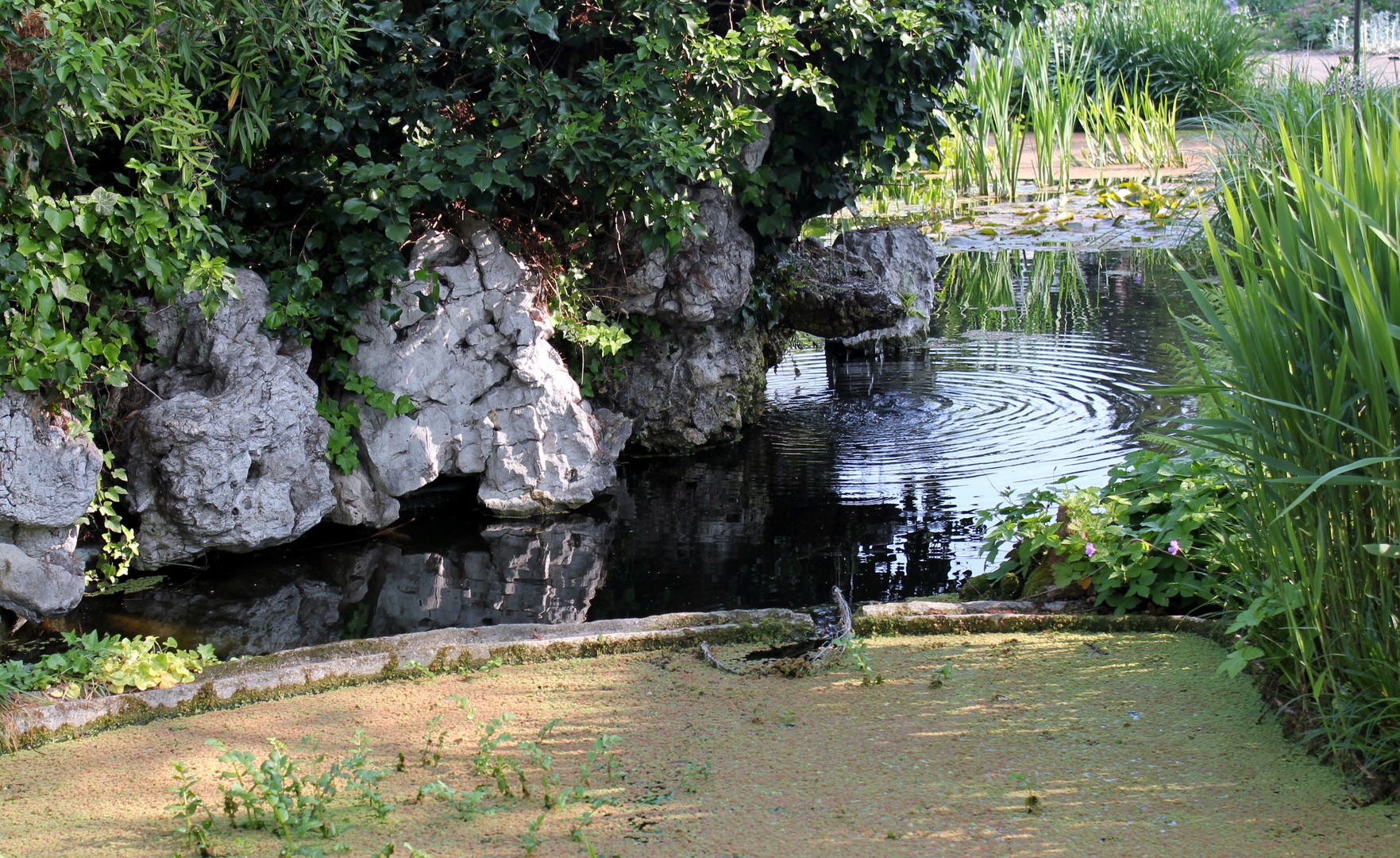 Kleiner Wasserfall