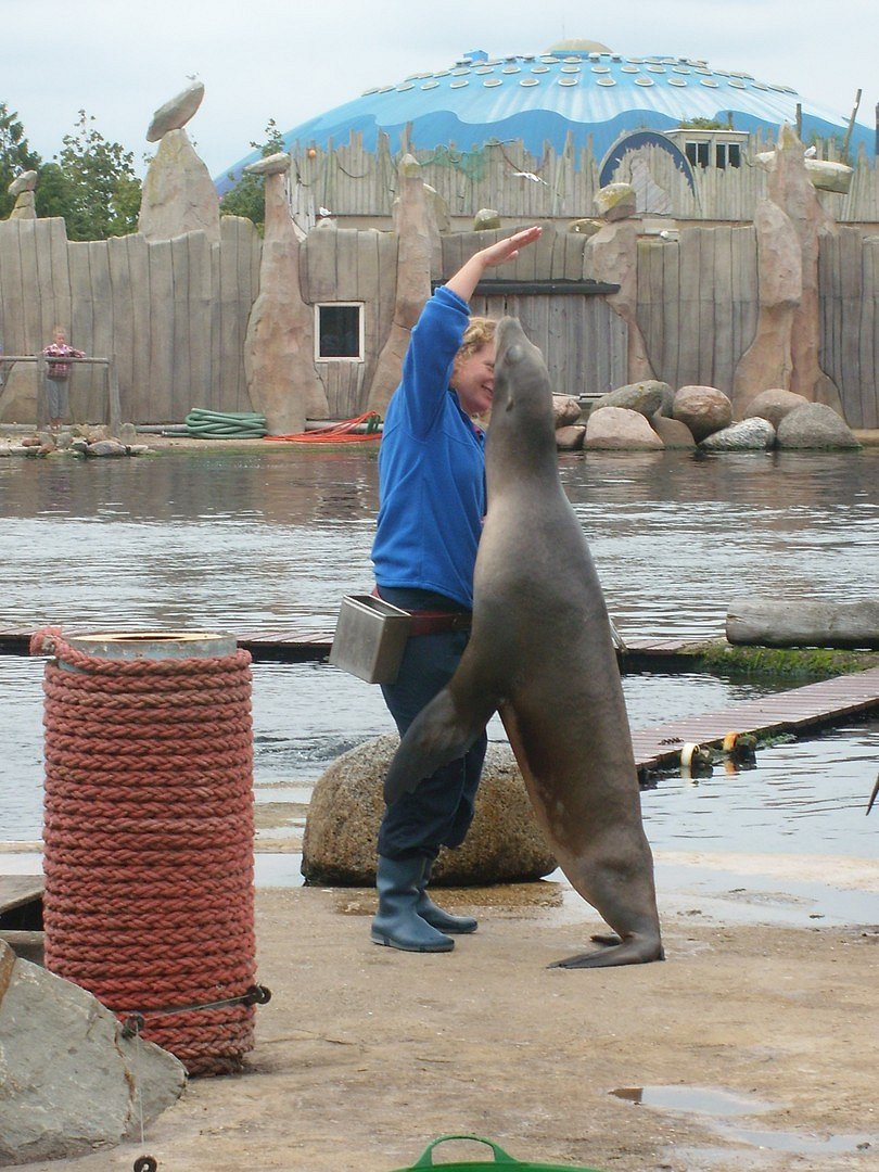 dolfinarium harderwijk