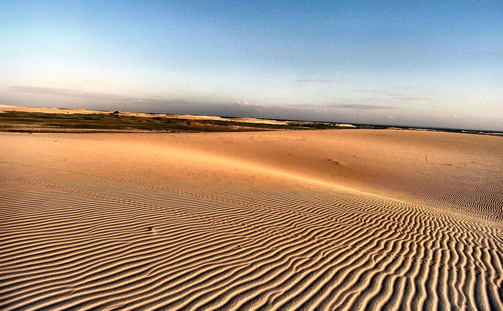 Golden sand